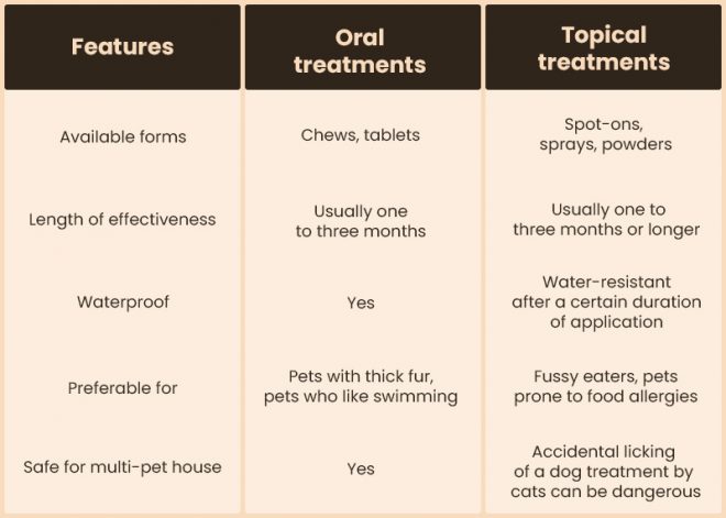 View of Oral or Topical Flea & Tick Treatment for Pets: Which is Better?