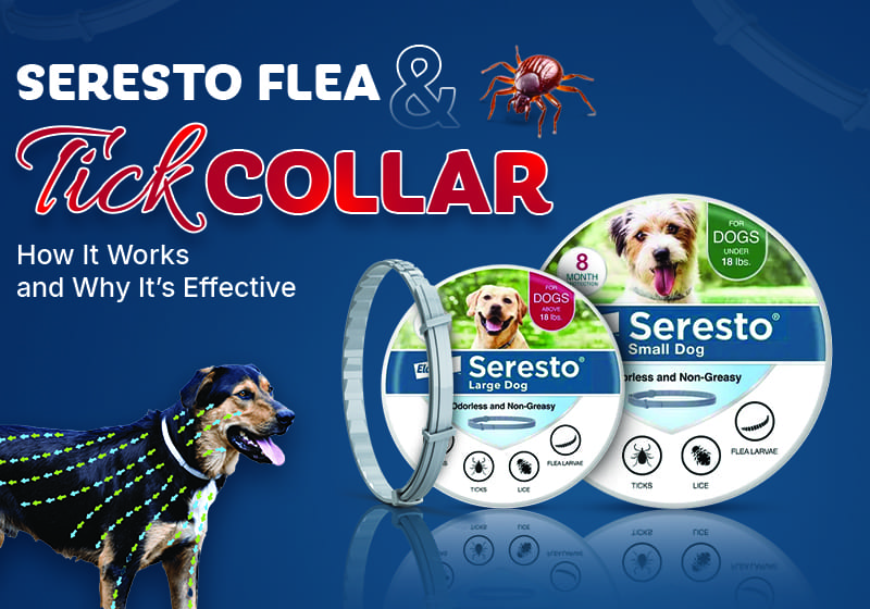 Seresto Flea & Tick Collar