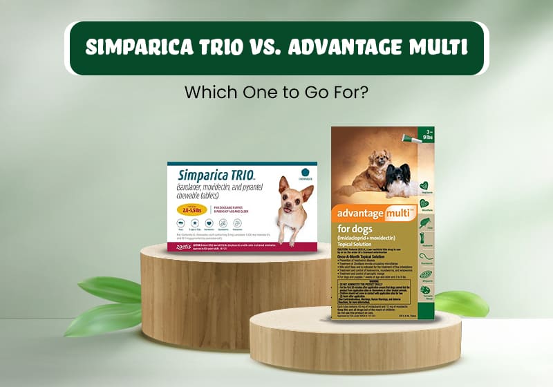 Simparica Trio vs. Advantage Multi – Which One to Go For?