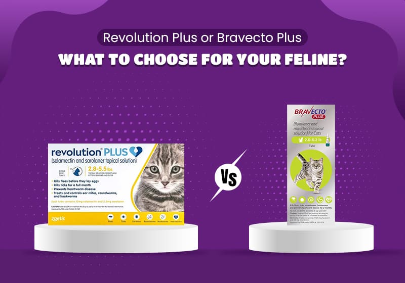 Revolution Plus Vs Bravecto Plus