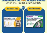 revolution Plus vs Nexgard Combo