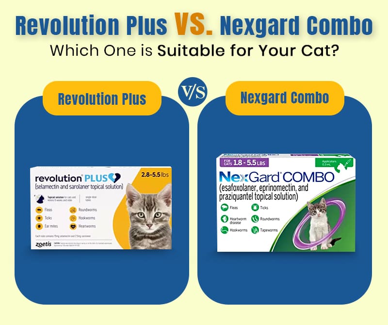 revolution Plus vs Nexgard Combo