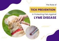 Role of Tick Prevention in Protecting Pets Against Lyme Disease