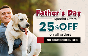 Father's Day Sale
