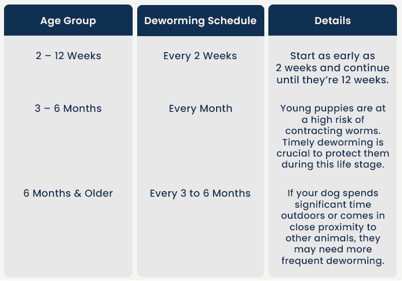 Puppy Deworming Schedule