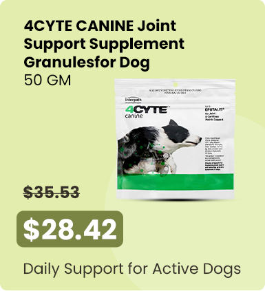 Hot Deal at $28.42 - Daily Support for Active Dogs