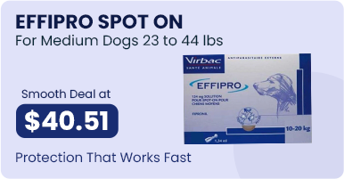 Smooth Deal at $40.51 - Protection That Works Fast