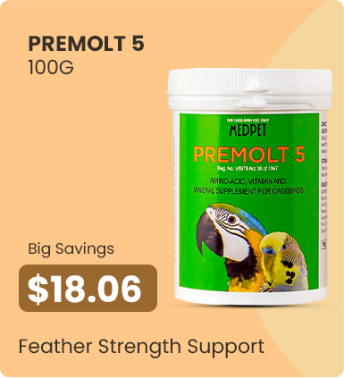 Big Savings – $18.06 - Feather Strength Support