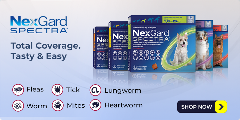 Nexgard Spectra Chewabls for Dogs