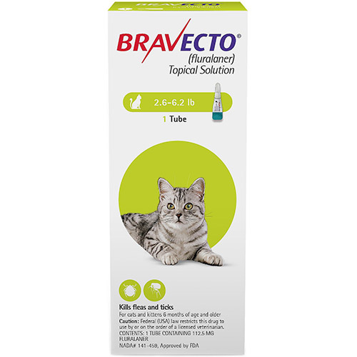 Bravecto Spot On For Cats Buy Bravecto Spot On Treatment For Cats At Lowest Price Bestvetcare Com Bravecto Spot On For Cats Buy Bravecto Spot On Treatment For Cats At Lowest Price Bestvetcare Com