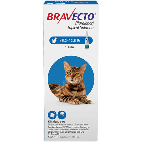 Bravecto Spot On For Cats Buy Bravecto Spot On Treatment For Cats At Lowest Price Bestvetcare Com Bravecto Spot On For Cats Buy Bravecto Spot On Treatment For Cats At Lowest Price Bestvetcare Com