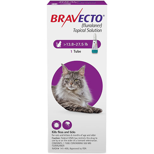 Bravecto Spot On For Cats Buy Bravecto Spot On Treatment For Cats At Lowest Price Bestvetcare Com Bravecto Spot On For Cats Buy Bravecto Spot On Treatment For Cats At Lowest Price Bestvetcare Com