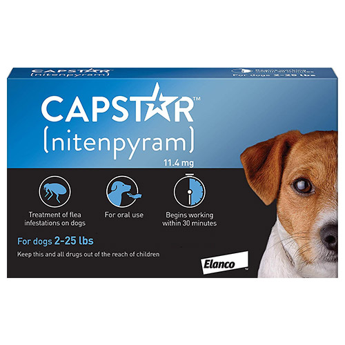 capstar for big dogs