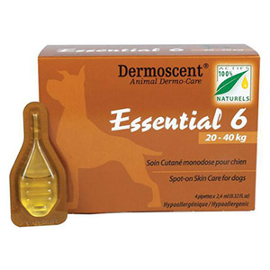 

Essential 6 45-90 Lbs Large 4 Pipette
