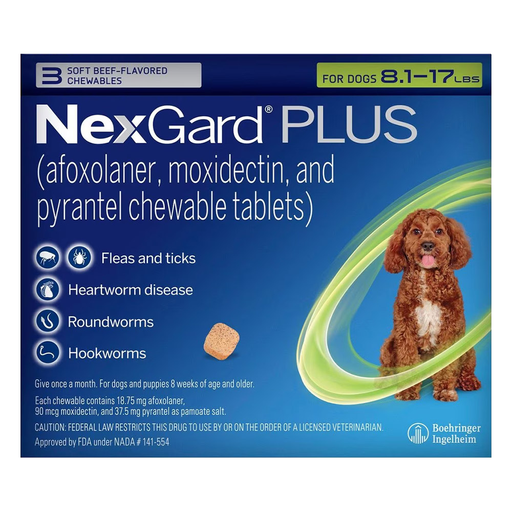 Nexgard flea medication for dogs