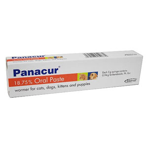 

Panacur Worming Paste For Cats 1 Pack