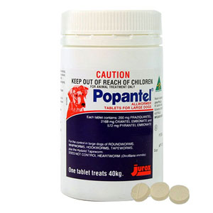 

Popantel Allwormer For Dogs 40 Kg 88 Lbs 2 Tablet