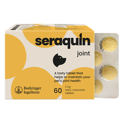Seraquin 2 Gm 60 Tablets