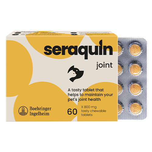 Seraquin 800 Mg 60 Tablet
