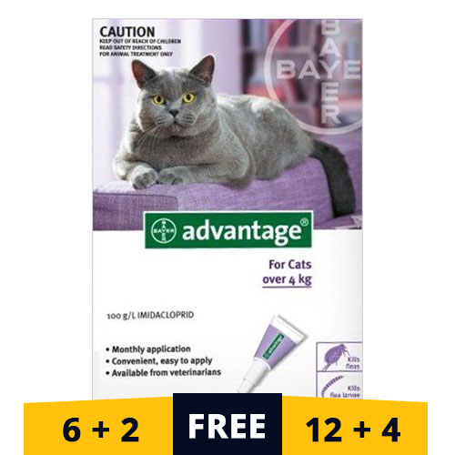 Advantage Cats Over 10lbs (Purple) 4 Doses
