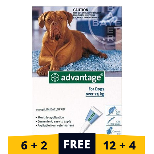 Advantage Extra Large Dogs Over 55 Lbs (Blue) 4 Doses