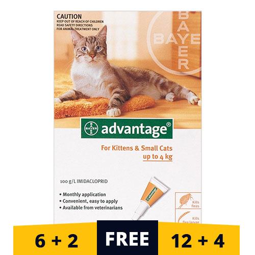 Advantage Kittens & Small Cats 1-10lbs 4 Doses