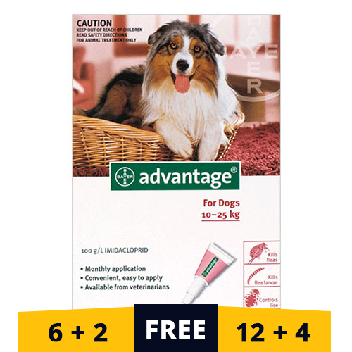 Advantage Large Dogs 21-55lbs (Red) 4 Doses
