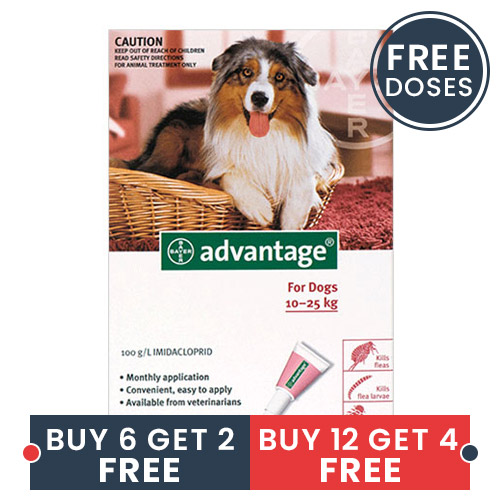 

Advantage Large Dogs 21-55lbs Red 12 + 4 Doses Free