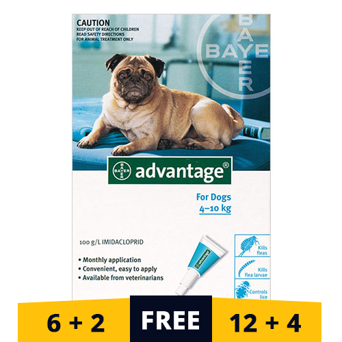 Advantage Medium Dogs 11-20lbs (Aqua) 4 Doses
