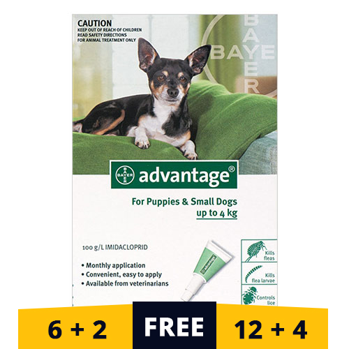 Advantage Small Dogs/ Pups 1-10lbs (Green) 4 Doses