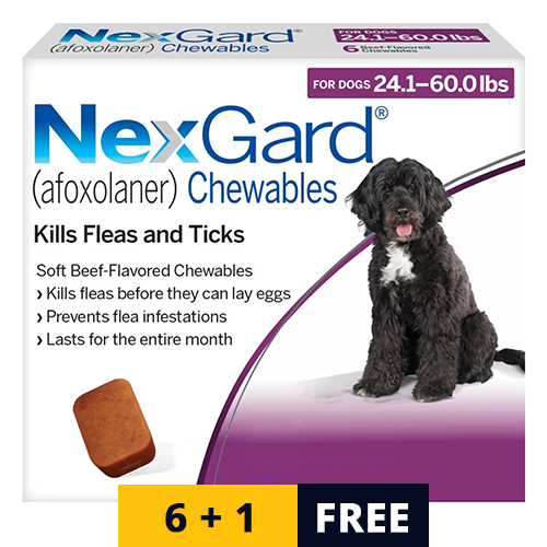 Nexgard Chewables For Large Dogs 24.1-60 Lbs (Purple) 68mg 12 Chews