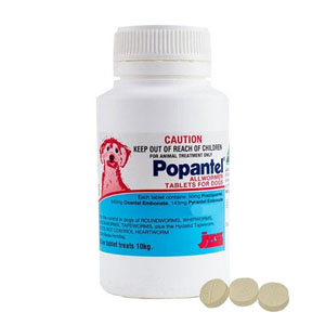 

Popantel Allwormer For Dogs 10 Kg 22 Lbs 2 Tablet