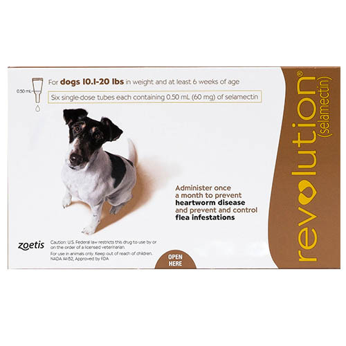 Revolution Small Dogs 10.1 - 20lbs Brown 12 Doses