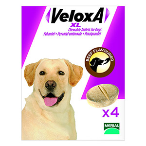 

Veloxa Xl Chewable For Large Dogs Up To 35 Kg 2 Tablet