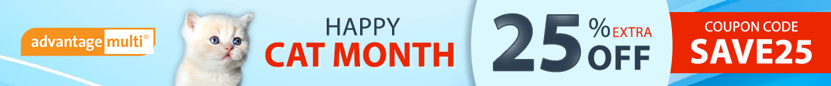 Cat Month Sale
