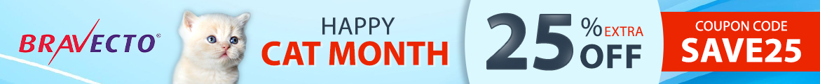 Cat Month Sale