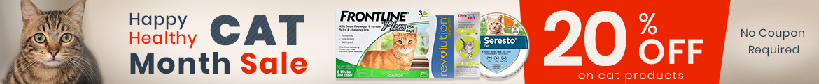 Cat Month Sale