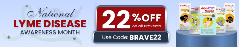Sale Banner