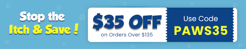 Sale Banner