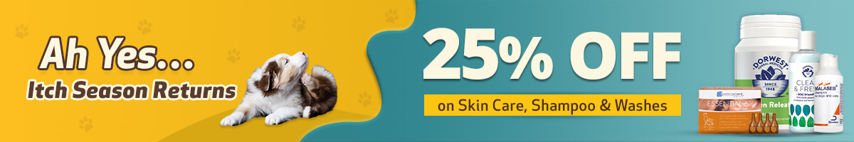 Offer Banner