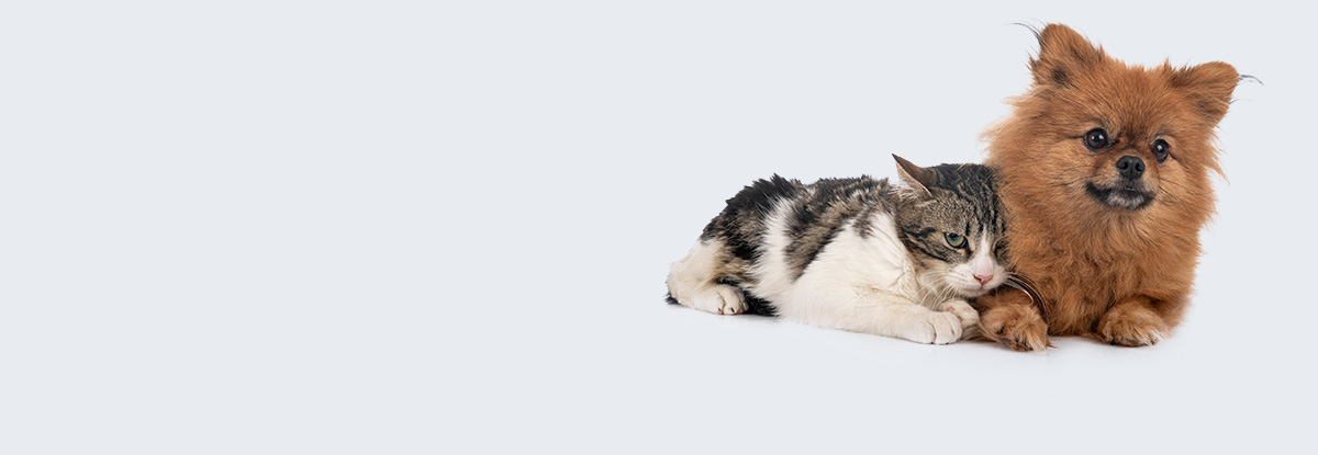 DESKTOP